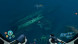 Игра Subnautica: Below Zero [PS5, русские субтитры] в Орле