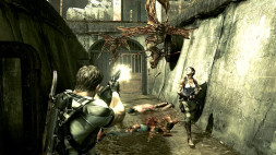Игра Resident Evil 5 [PS4, английская версия]