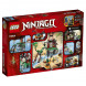 Конструктор LEGO Ninjago 70604 Остров тигриных вдов в Орле
