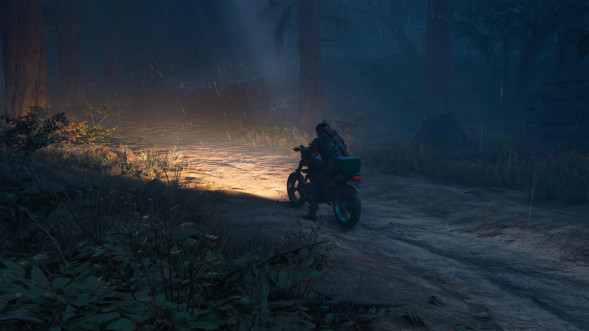 Игра Жизнь После (Days Gone) [PS4, русская версия] в Орле